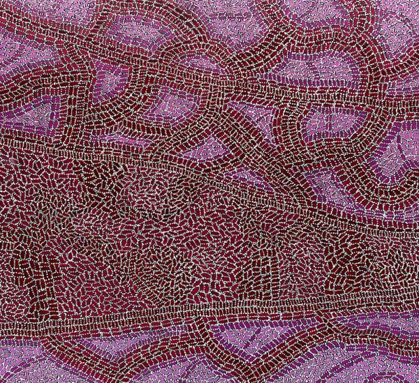 Warlukurlangy Jukurrpa (Fire Country Dreaming) 03 For Discount