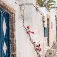 Blue, White and Bouganvillea Supply