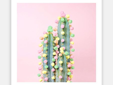 Pastel Cactus Supply